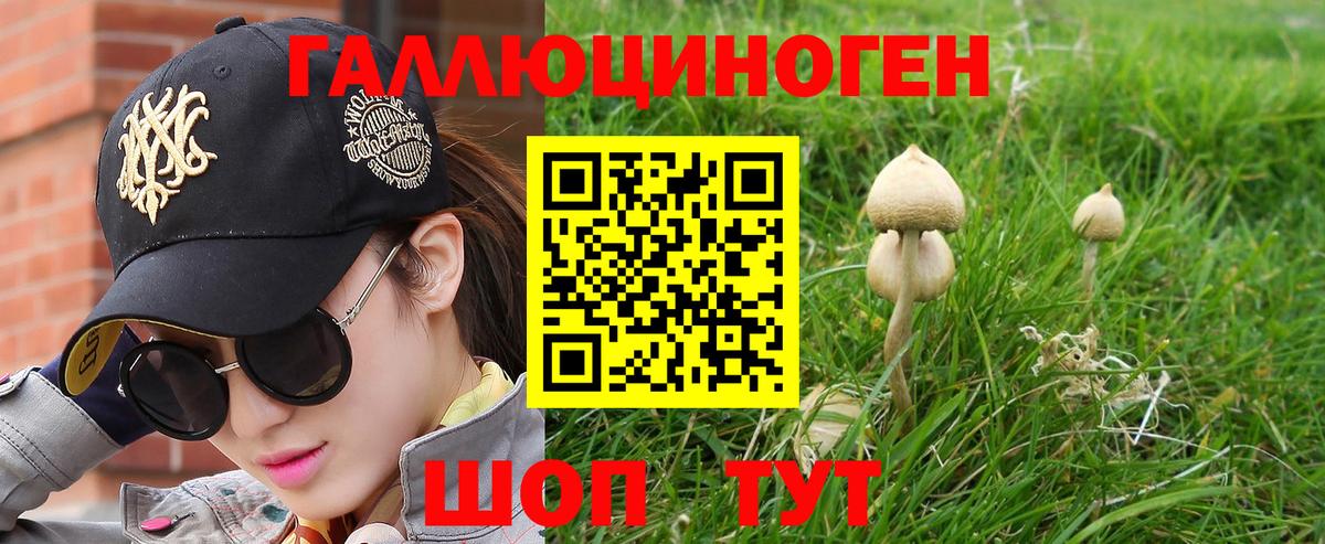 Псилоцибиновые грибы прущие грибы  Псилоцибиновые грибы GOLDEN TEACHER  Вход с VPN  Хабаровск 